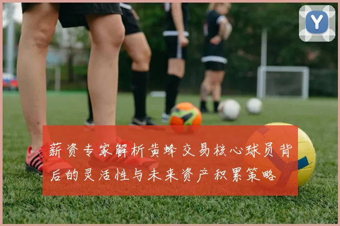薪资专家解析黄蜂交易核心球员背后的灵活性与未来资产积累策略